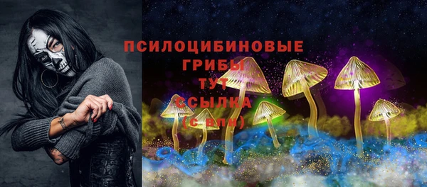 круглые Аркадак