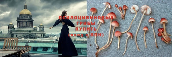 соль ск Алзамай