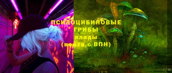 круглые Аркадак