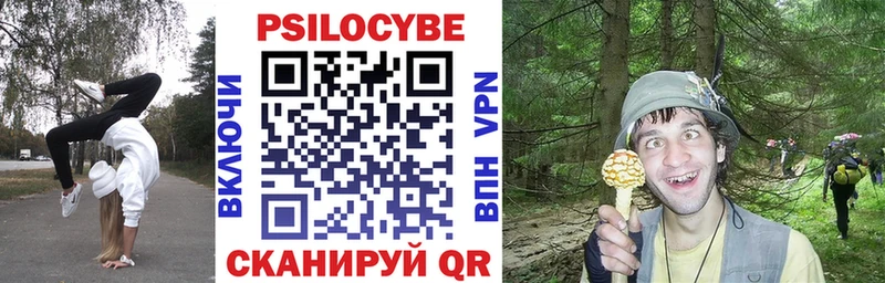 Псилоцибиновые грибы Psilocybe  Сасово 